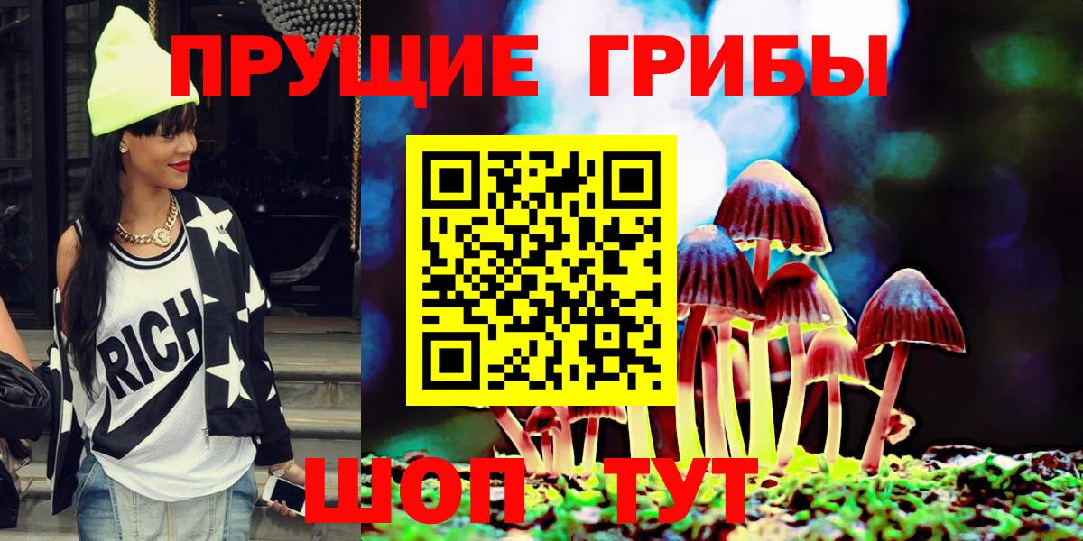 Псилоцибиновые грибы Cubensis Моздок