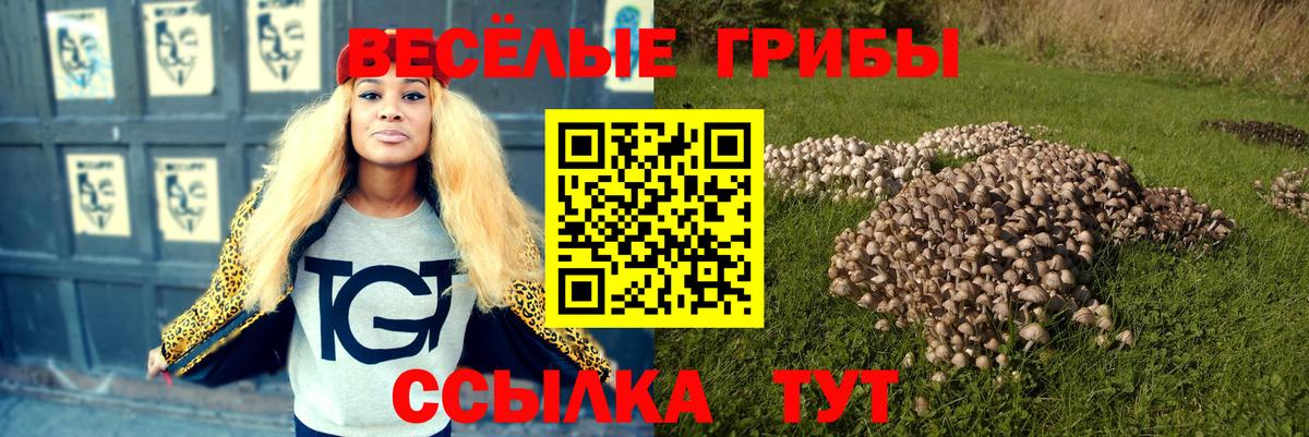 COCAIN Моздок