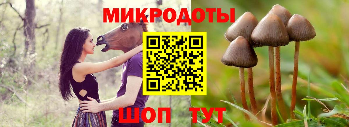 Псилоцибиновые грибы MAGIC MUSHROOMS  Галлюциногенные грибы MAGIC MUSHROOMS  Вход с VPN  Моздок 
